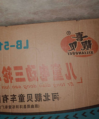 全新喜靓贝儿童电动三轮车