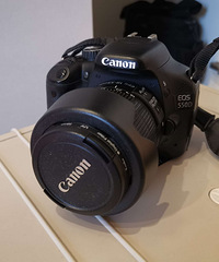 ���������������ŵ����׻���ͷ