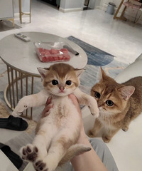 �ɰ��Ĺ����� �����ˡ�