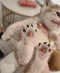 �ɰ��Ĺ����� �����ˡ�