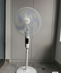 ת�����������