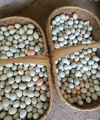 ��������������