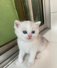 �����������Ҹ����˼�