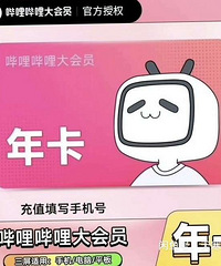 Bվ��������bilibili�꿨