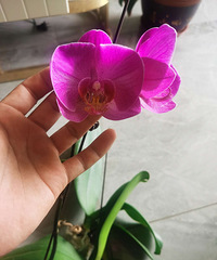 ��������߻������ͺ�����