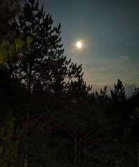 �����������������һ��