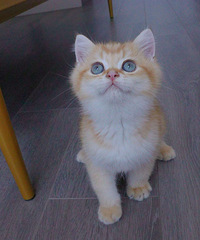 �����𽥲㣬Ѱ�ҳ�