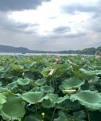 ��Դ��˾����ת��