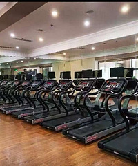 ��������Ӿ������