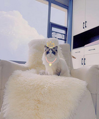 ��ż���ã�Ѱ��Ե�˵�����