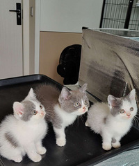 ���˳���