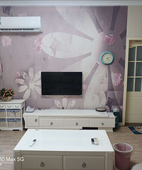 ������������ѩ��װ���Ҷ���һ��������77.87