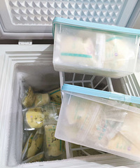 ����ĸ��