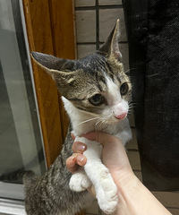 è�ܵ�������