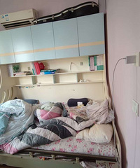 ���ִ���������