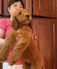 ����޹����ñ���