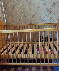 ȫ��ľӤ����