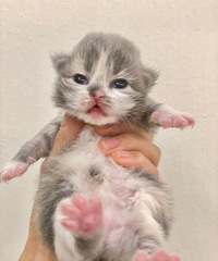 Сè�Ҽ� �������ó�ë�ߵ�