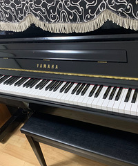 �ų�����������������