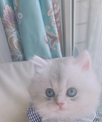 Сè�����¼�