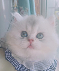 Сè�����¼�