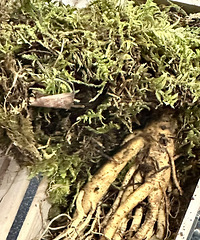 ���˲������