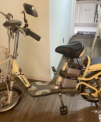 ת���Ϻ������Ƶ綯���г�