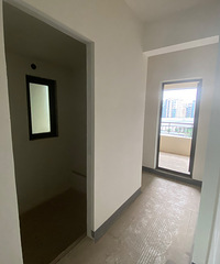 �����紨����������������