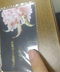 ������ת��