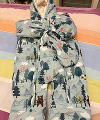 9.5�¼����Ƶı��������޷�