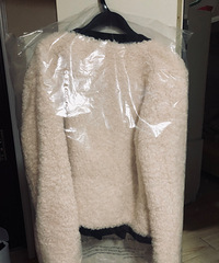 ȫ������