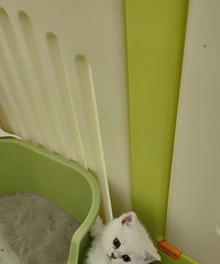 ������������è