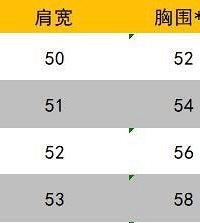 全新莫义外套
