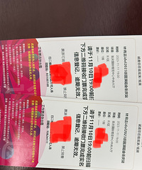 便宜出两张11月11日林宥嘉重庆演唱会门票,连坐