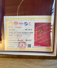 ����Ұɽ�Σ�����һ��Ʒ֤�飩