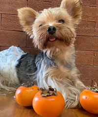 Լ��������