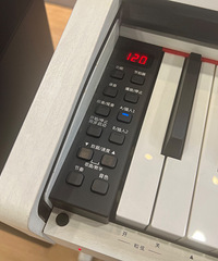 �齭 ����ɭ������� VP-122