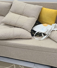 ɳ������������ɳ��