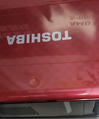 ��֥��ɫС��