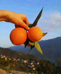 ��������������