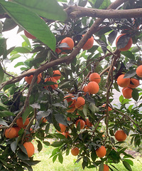 ��������������