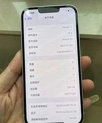 ����ϵͳiphone13