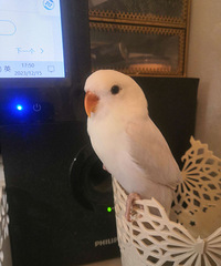 ����ɯĵ������ ��������