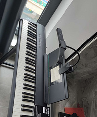 ����fp30����٣�99��