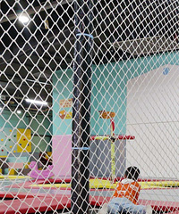 ת��ƺ�Ϻ�·ŷ��������һ¥�ıĴ�����