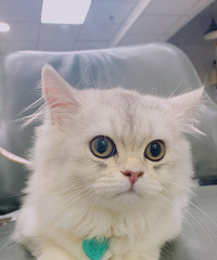 ����è�����¼�