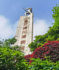 ���콨���������Ʊ