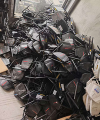 ���õ���·�����͹�è