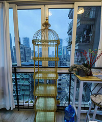 ������ô�˦��