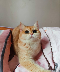 �𽥲�����